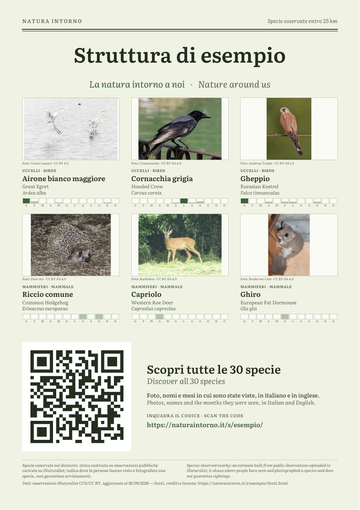 Il poster d'esempio: il nome della struttura, sei specie con foto e crediti, un QR grande e l'indirizzo della pagina.